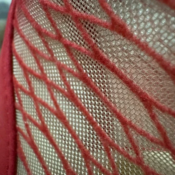 Lottini Red Mesh Pointed-Toe Heels with Crossover Straps - Picture 6 of 7